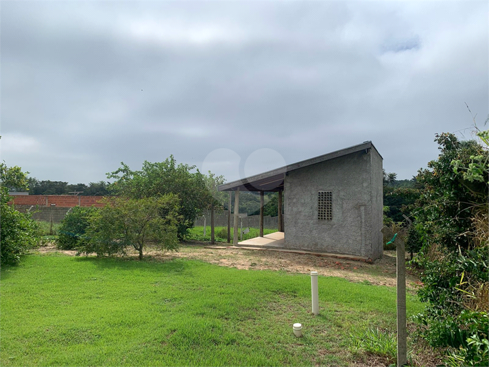 Foto REO1085703