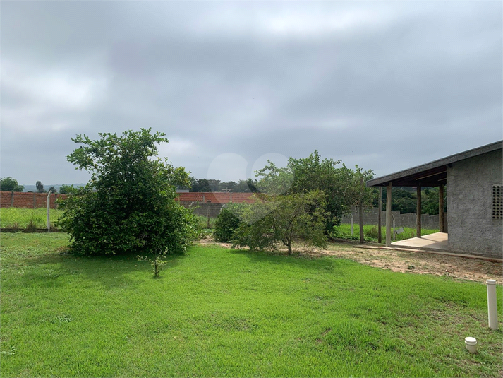 Foto REO1085703