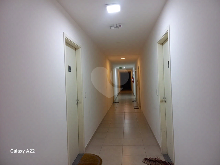 Foto REO1085706