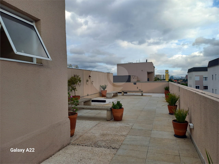 Foto REO1085706