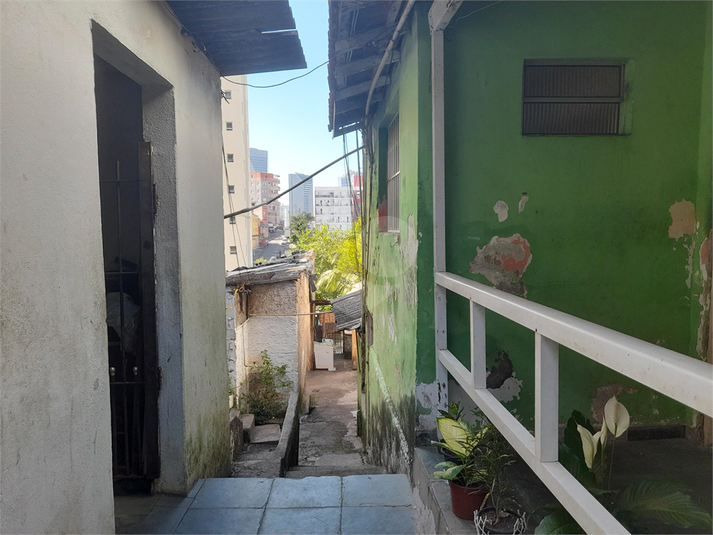 Foto REO1085708