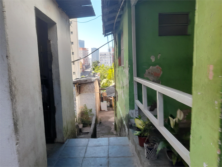 Foto REO1085708
