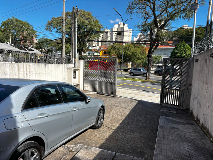 Foto REO1085716