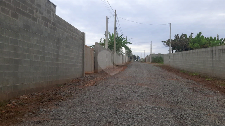 Foto REO1085719