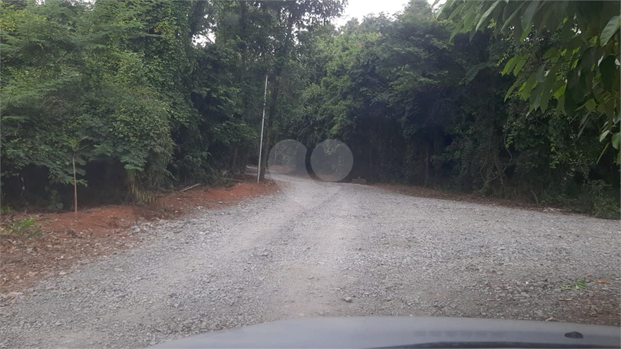 Foto REO1085719