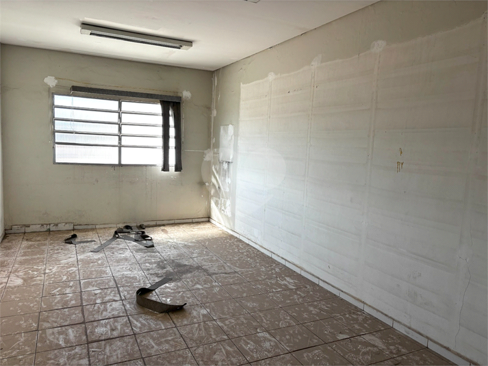Foto REO1085721