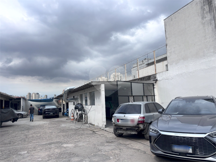 Foto REO1085721