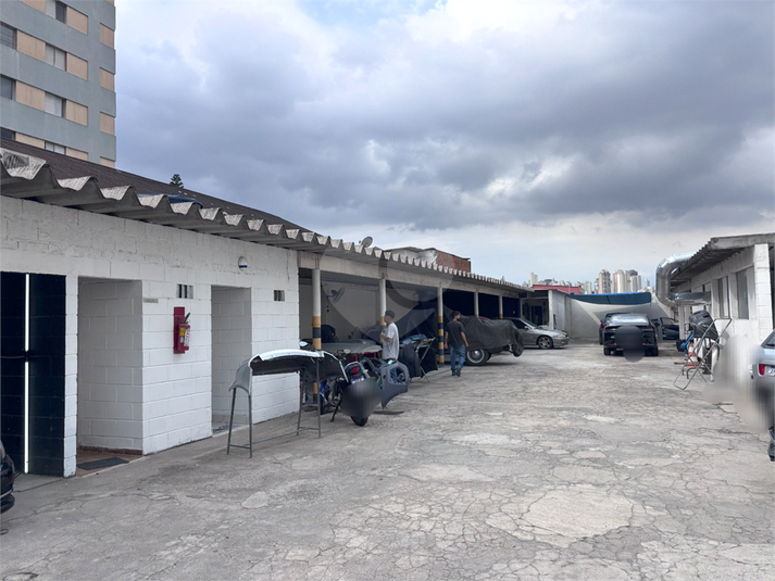 Foto REO1085721