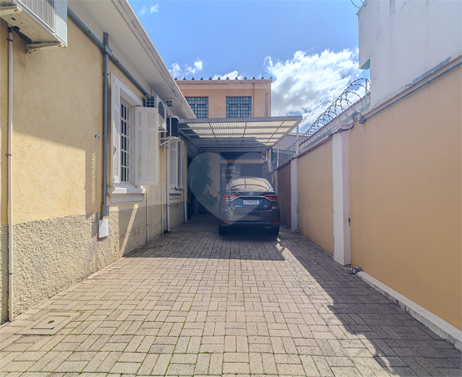 Foto REO1085732