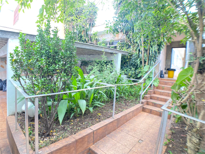 Foto REO1085734