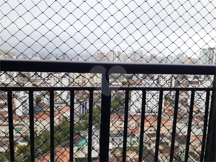 Foto REO1085754