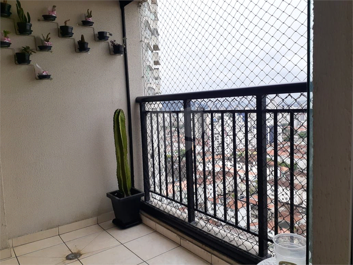 Foto REO1085754