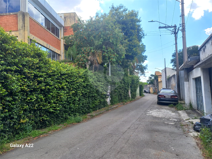 Foto REO1085763