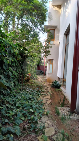 Foto REO1085773