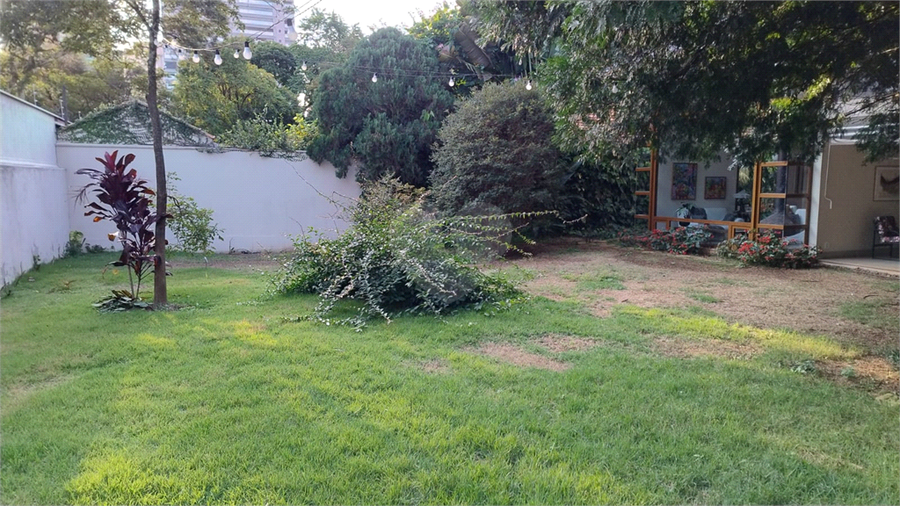 Foto REO1085773