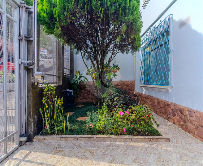 Foto REO1085780