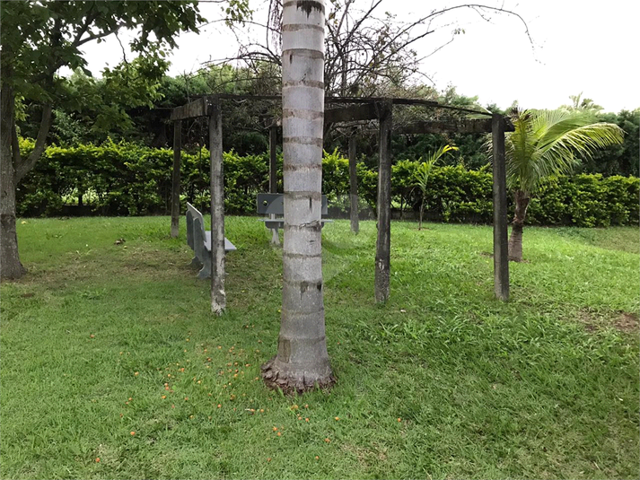 Foto REO1085792