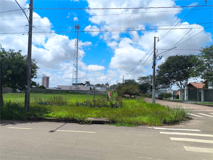 Foto REO1085812