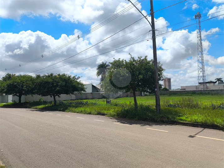 Foto REO1085812
