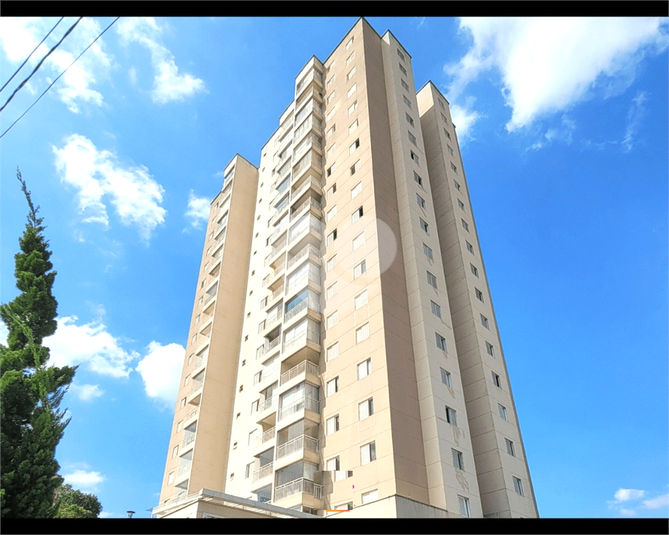 Foto REO1085829