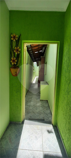 Foto REO1085832
