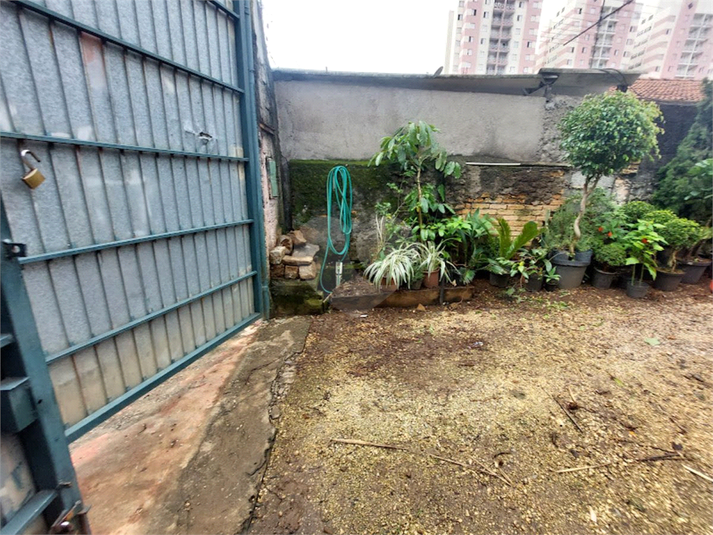 Foto REO1085833
