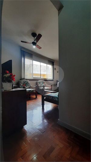 Foto REO1085839