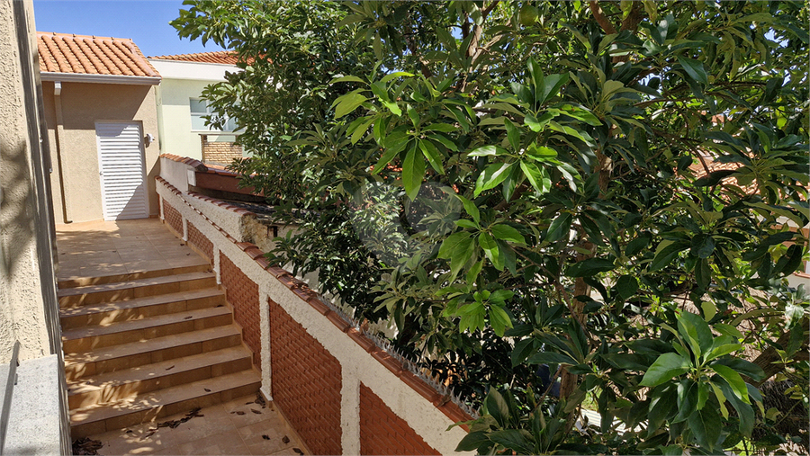 Foto REO1085845