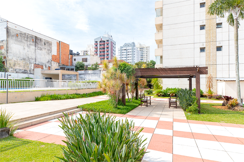 Foto REO1085861