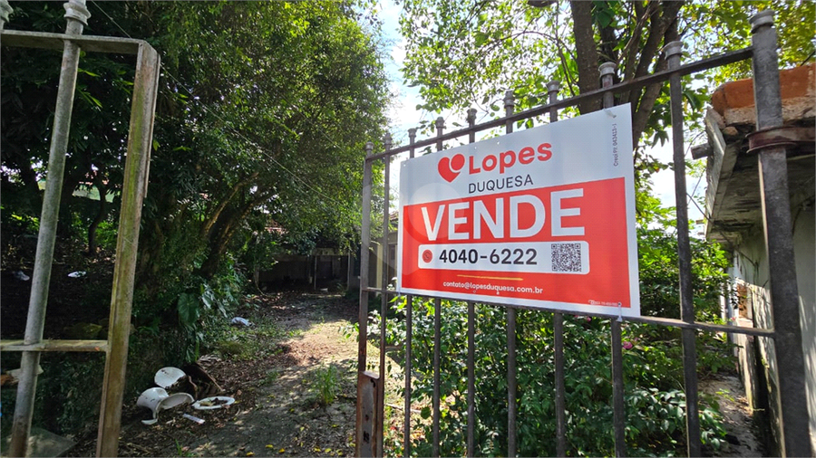 Foto REO1085864