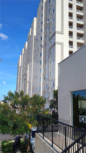 Foto REO1085869