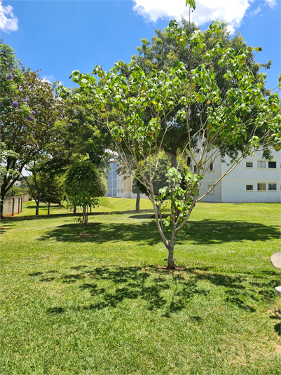 Foto REO1085872