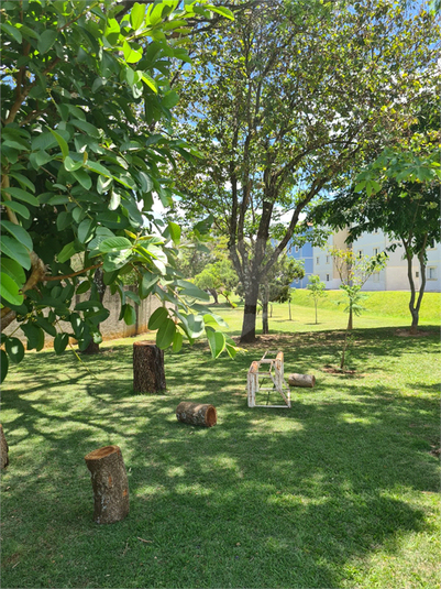 Foto REO1085872