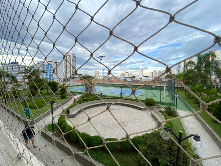 Foto REO1085876