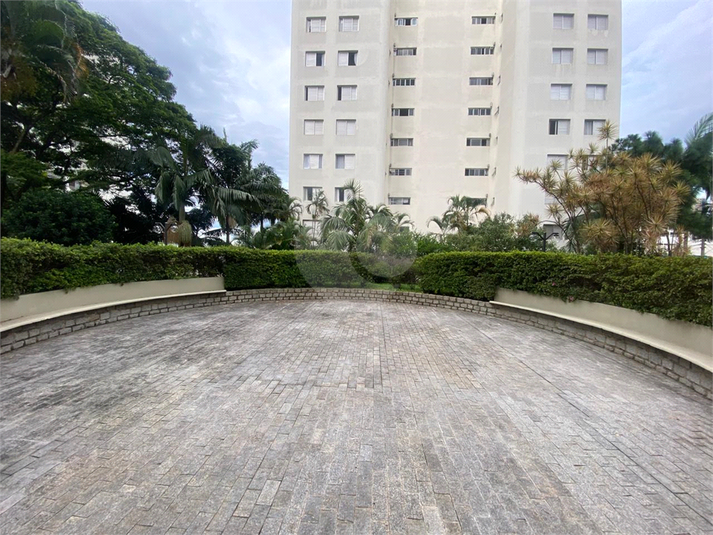 Foto REO1085876