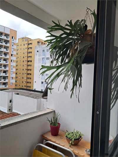 Foto REO1085880