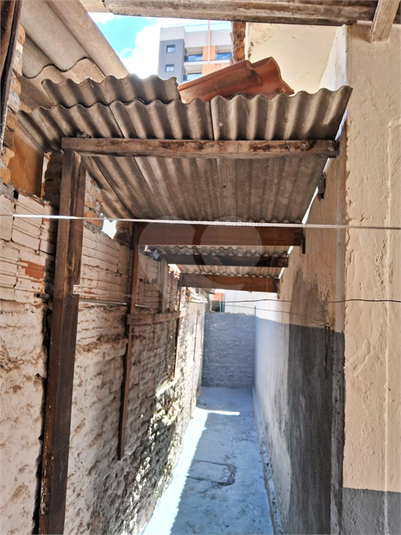 Foto REO1085891