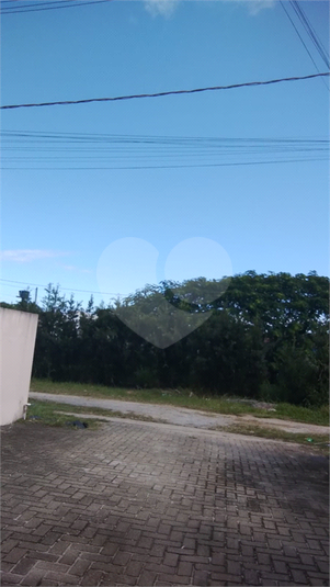 Foto REO1085901