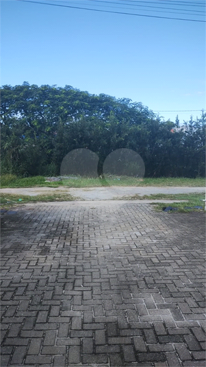 Foto REO1085901