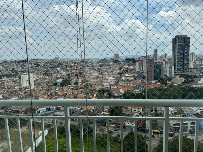Foto REO1085908