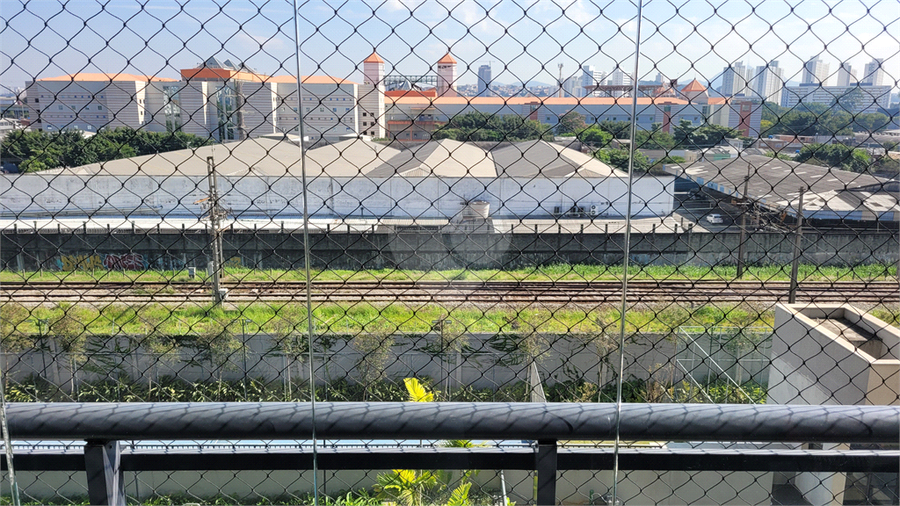 Foto REO1085923