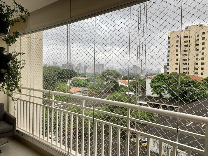 Foto REO1085928