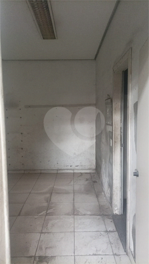 Foto REO1085934