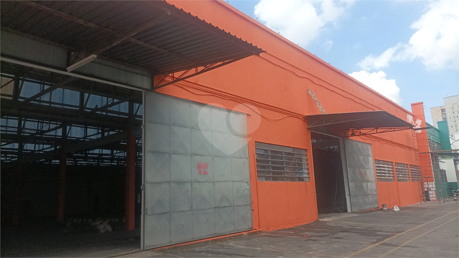 Foto REO1085934