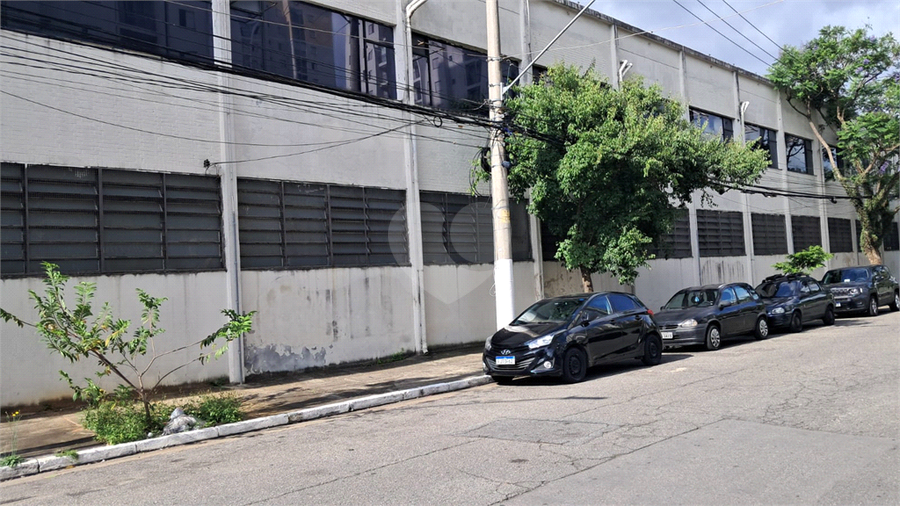 Foto REO1085934