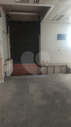 Foto REO1085934