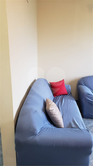 Foto REO1085936