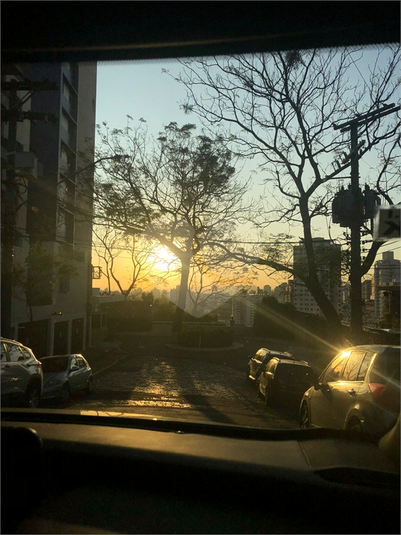 Foto REO1085937