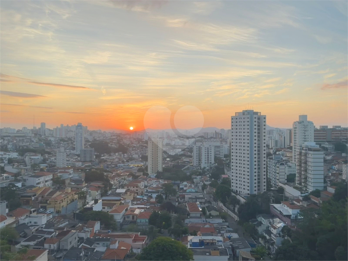 Foto REO1085937