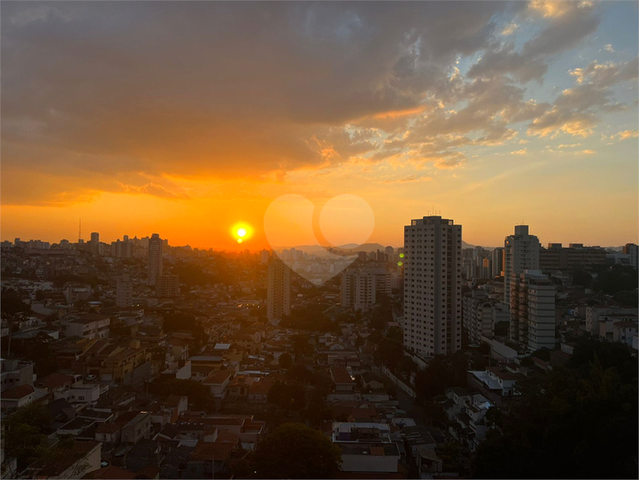Foto REO1085937